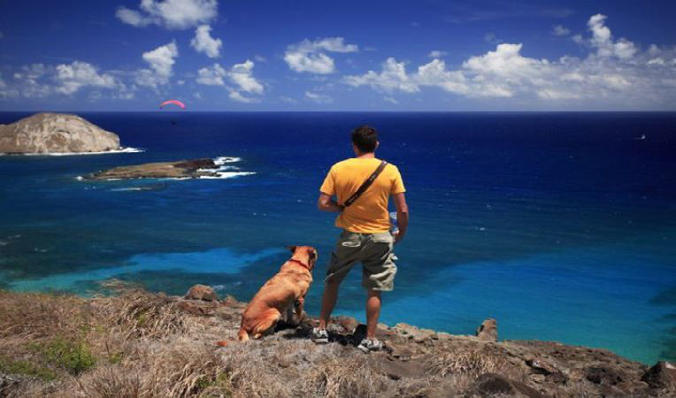 犬と飼い主が海を眺めている