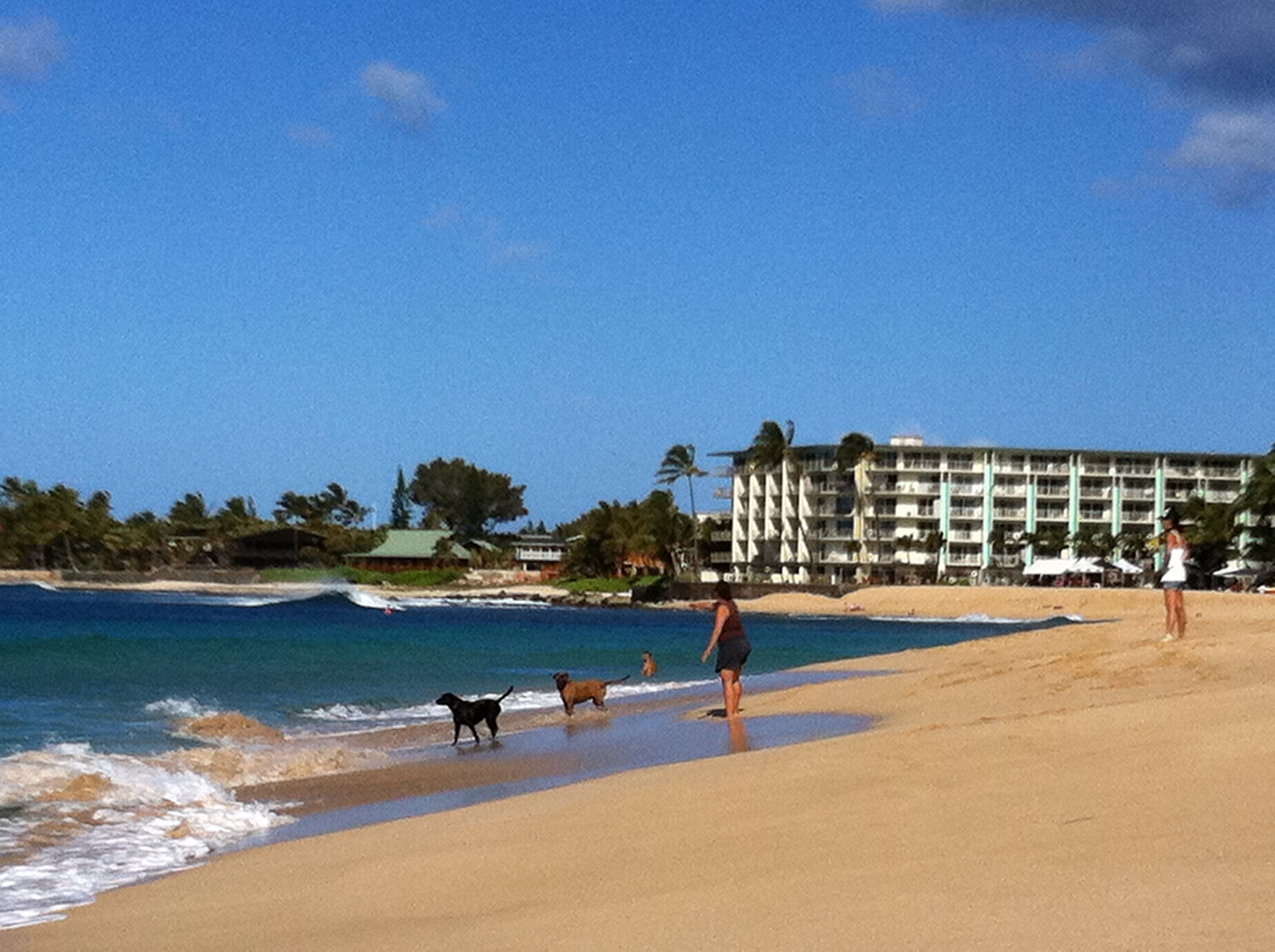 ハワイのホテル