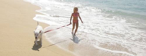 犬と女性の散歩